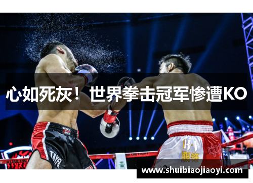 心如死灰！世界拳击冠军惨遭KO